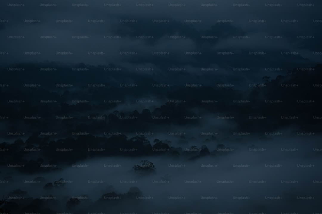 房车出行生态在协同中“解锁”万亿想象